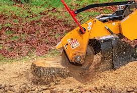 Best Tree and Shrub Care  in Greendale, IN